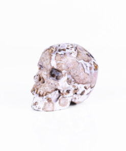Wholesale 3 Inch Natural Crystal Skulls Hand Carved Mini Skull Carving Statue Healing Gemstone Craft for Halloween Decoration