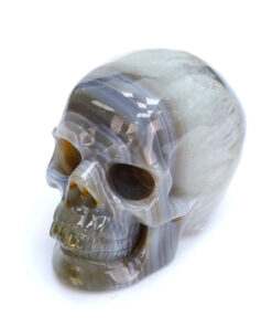 High Quality 3 Inch Natural Volcanic Agate Skull Carving Crystal Statue Hand Carved Cranium for Home Decor Healing Stone Gifts