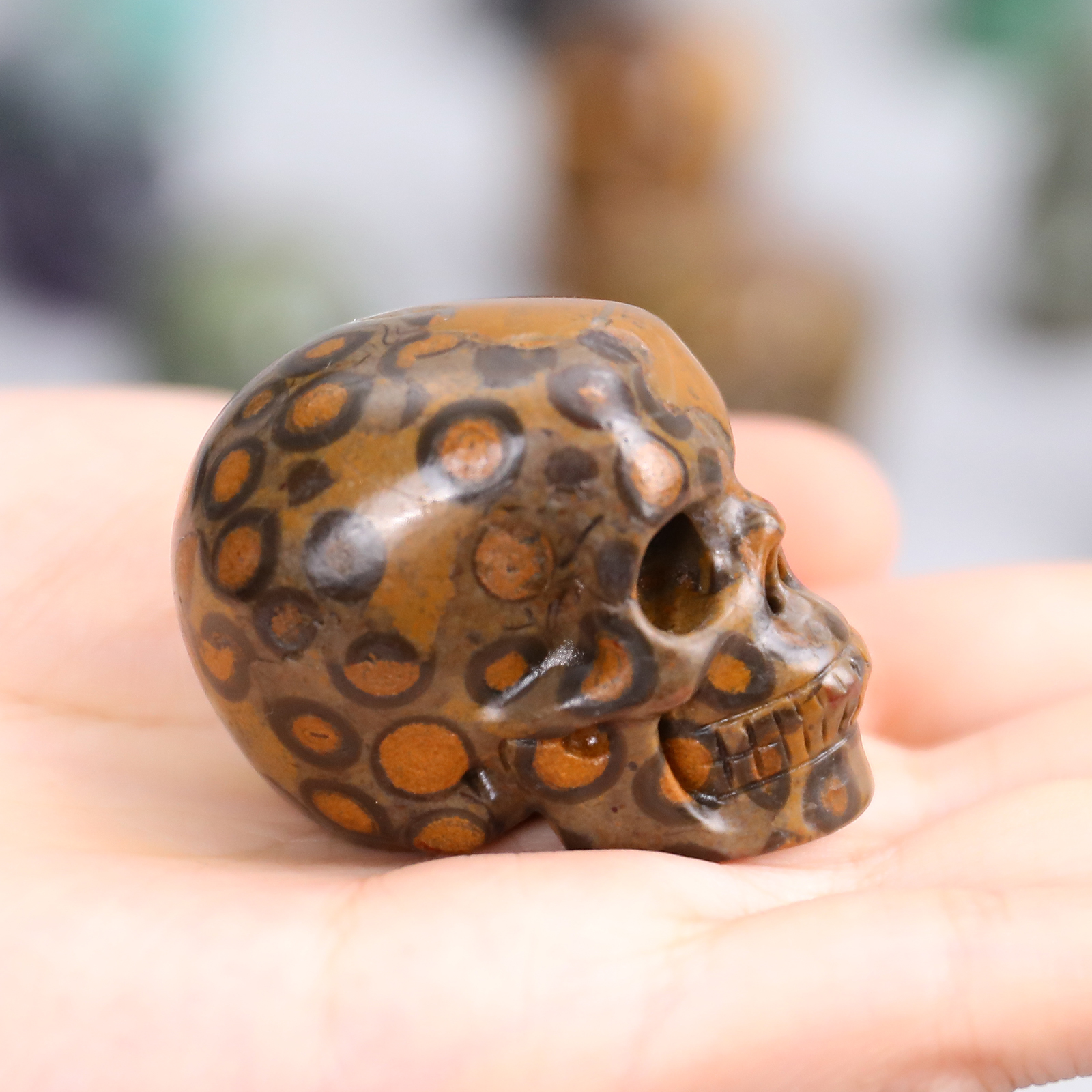 Crystal skull (11)