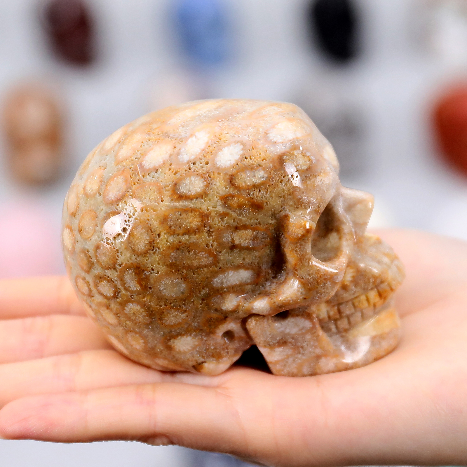 crystal skull (10)