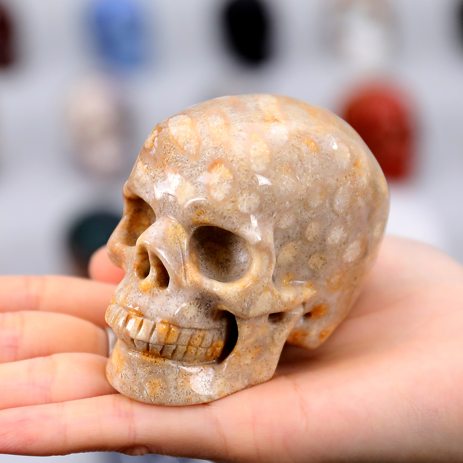 crystal skull (9)