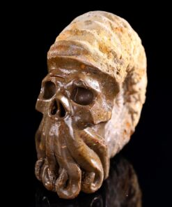 Natural Hand Carved Snail Fossil Octopus Skulls Crystal Carving Skulls Craft