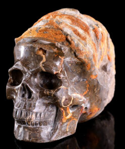 Foraminifera Skull Hand-Carved Crystal Mineral Ornament