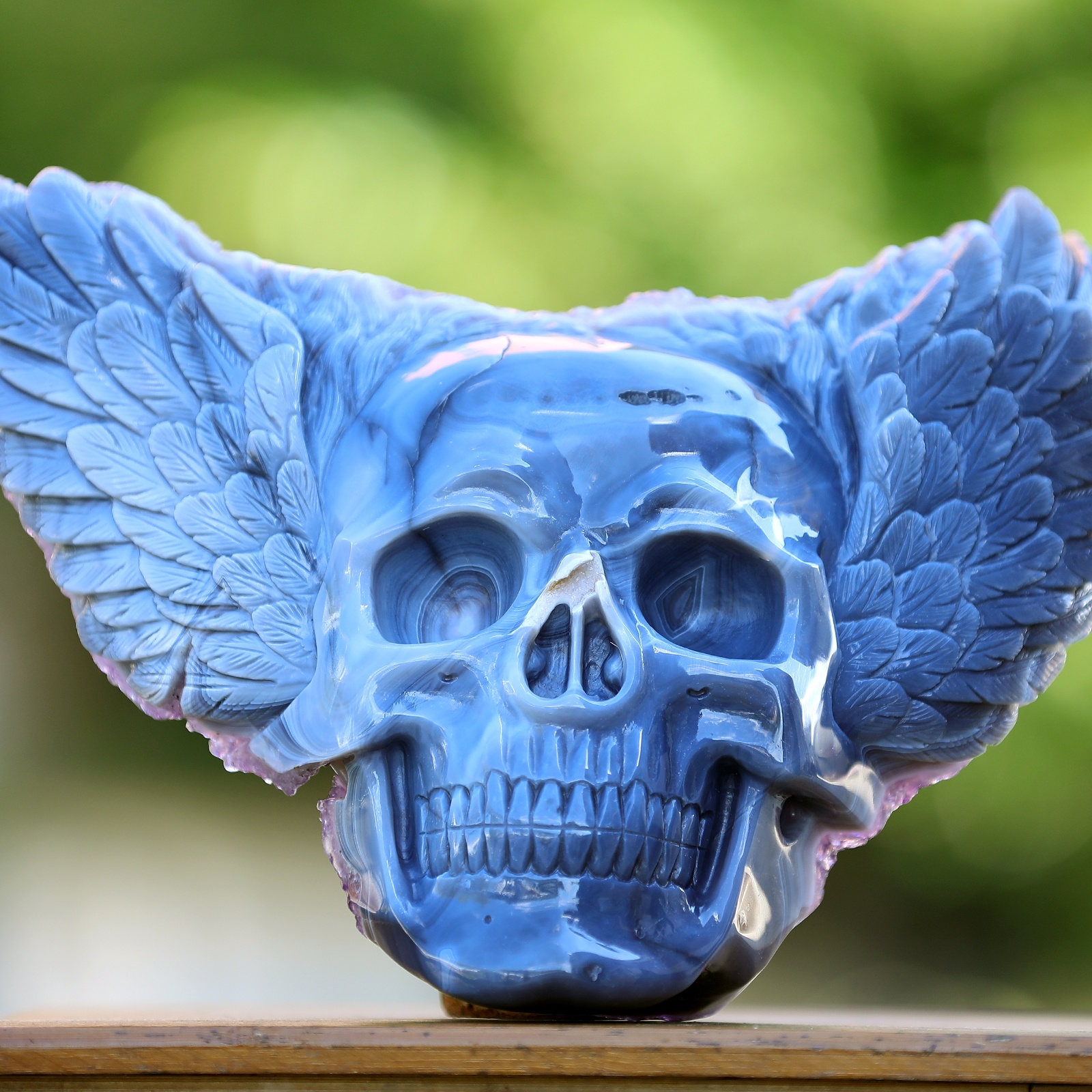 Amethyst cluster Angel Wing skull (1)