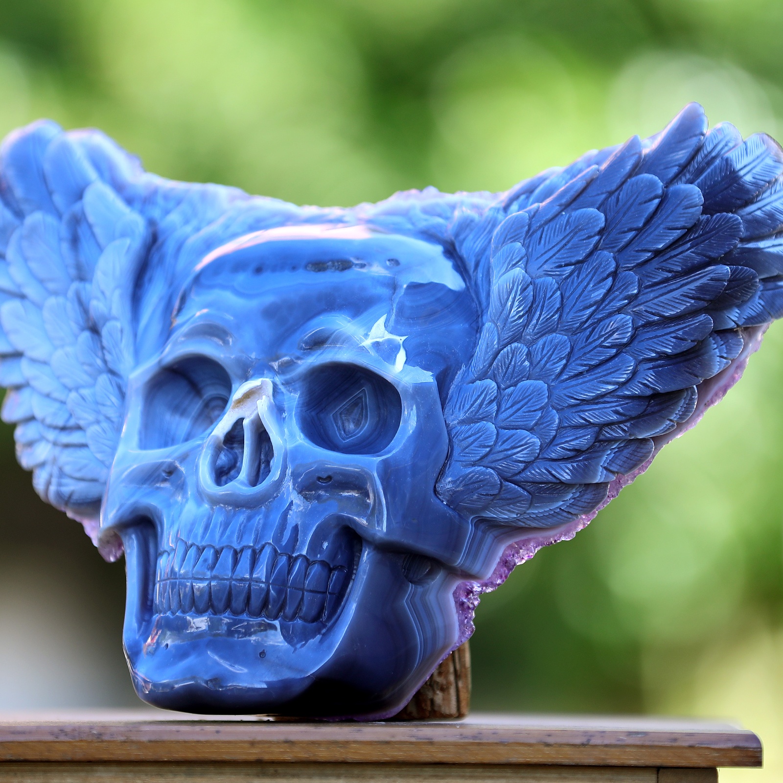 Amethyst cluster Angel Wing skull (2)