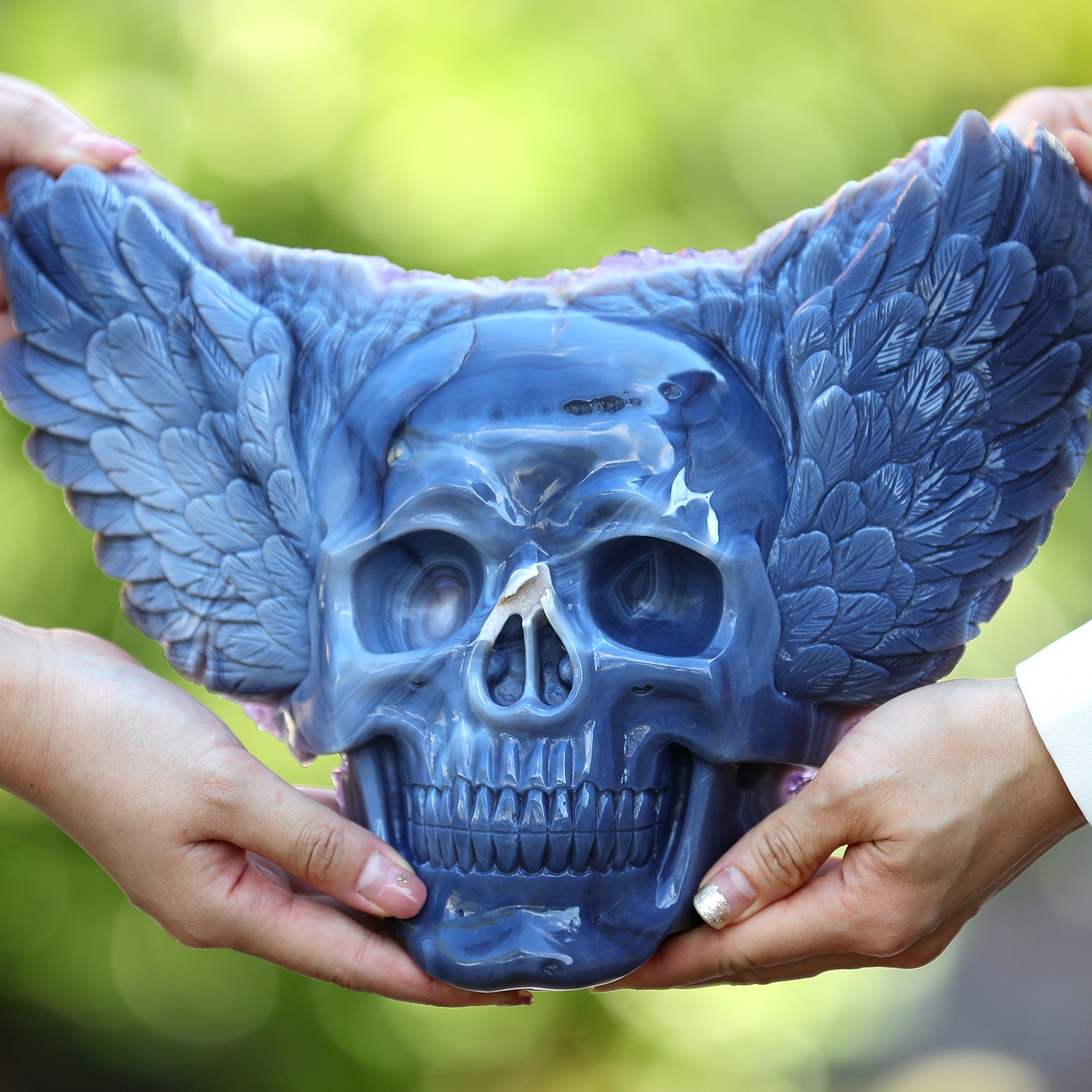 Amethyst cluster Angel Wing skull (3)