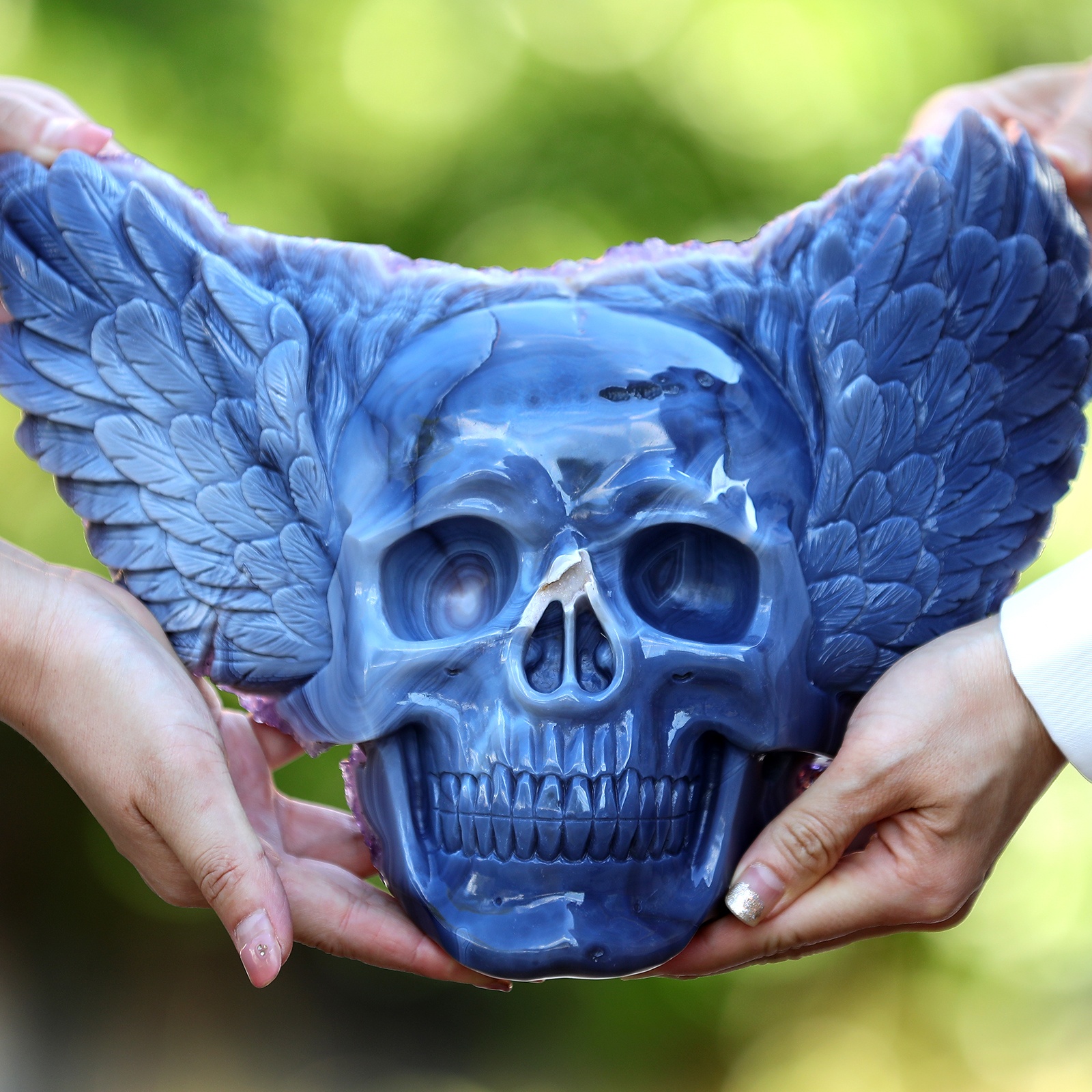Amethyst cluster Angel Wing skull (4)