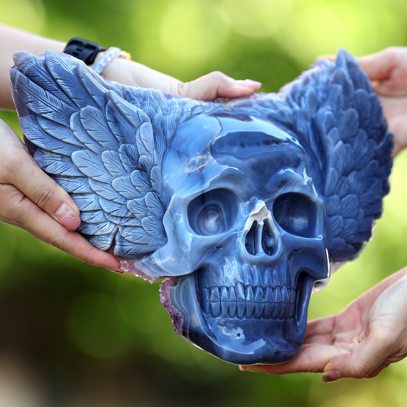 Amethyst cluster Angel Wing skull (5)