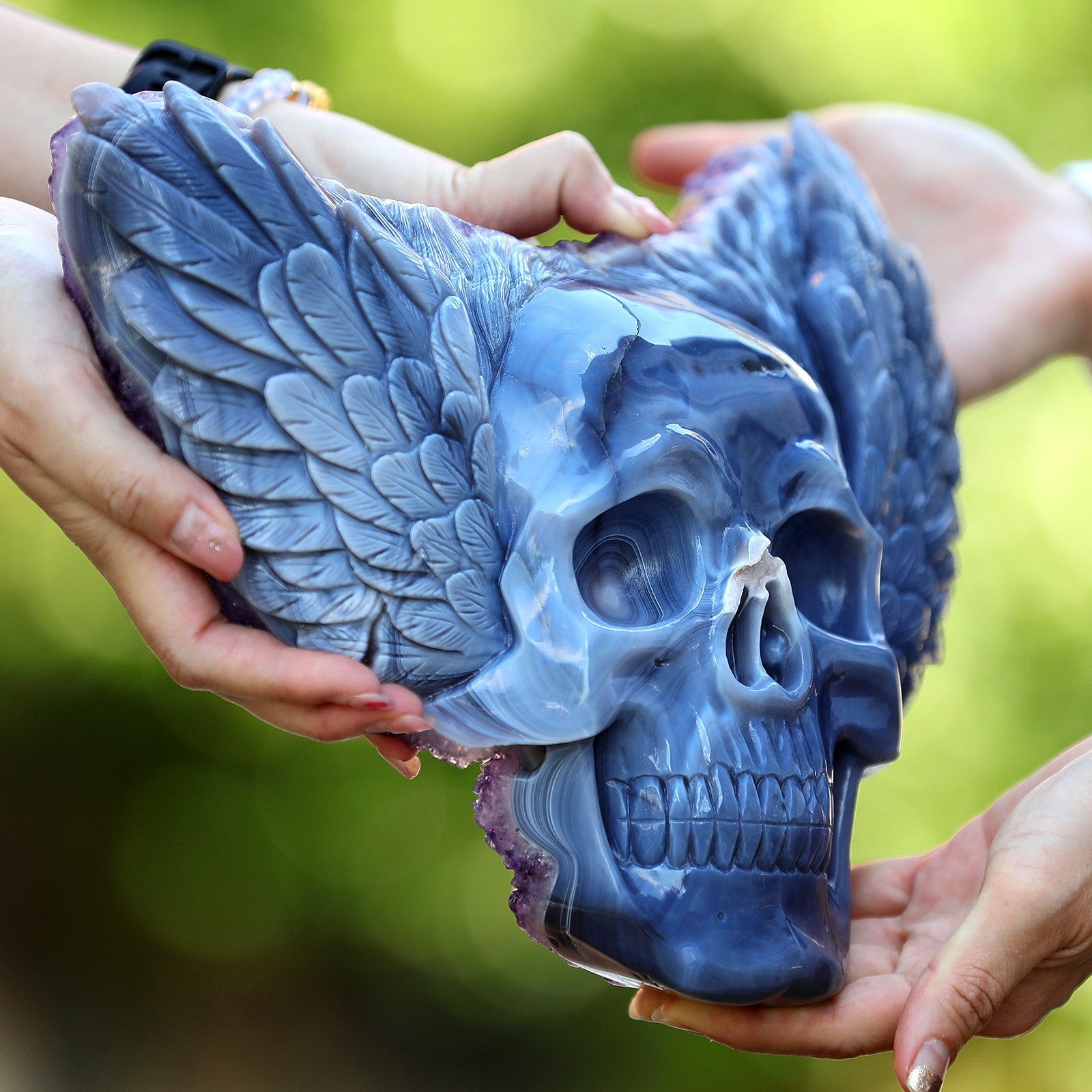 Amethyst cluster Angel Wing skull (6)