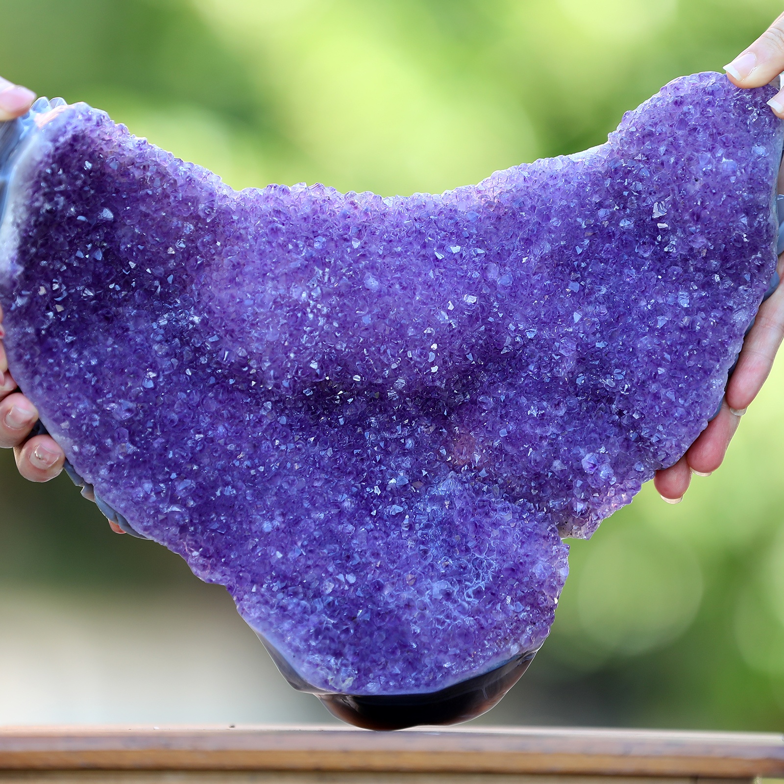 Amethyst cluster Angel Wing skull (7)
