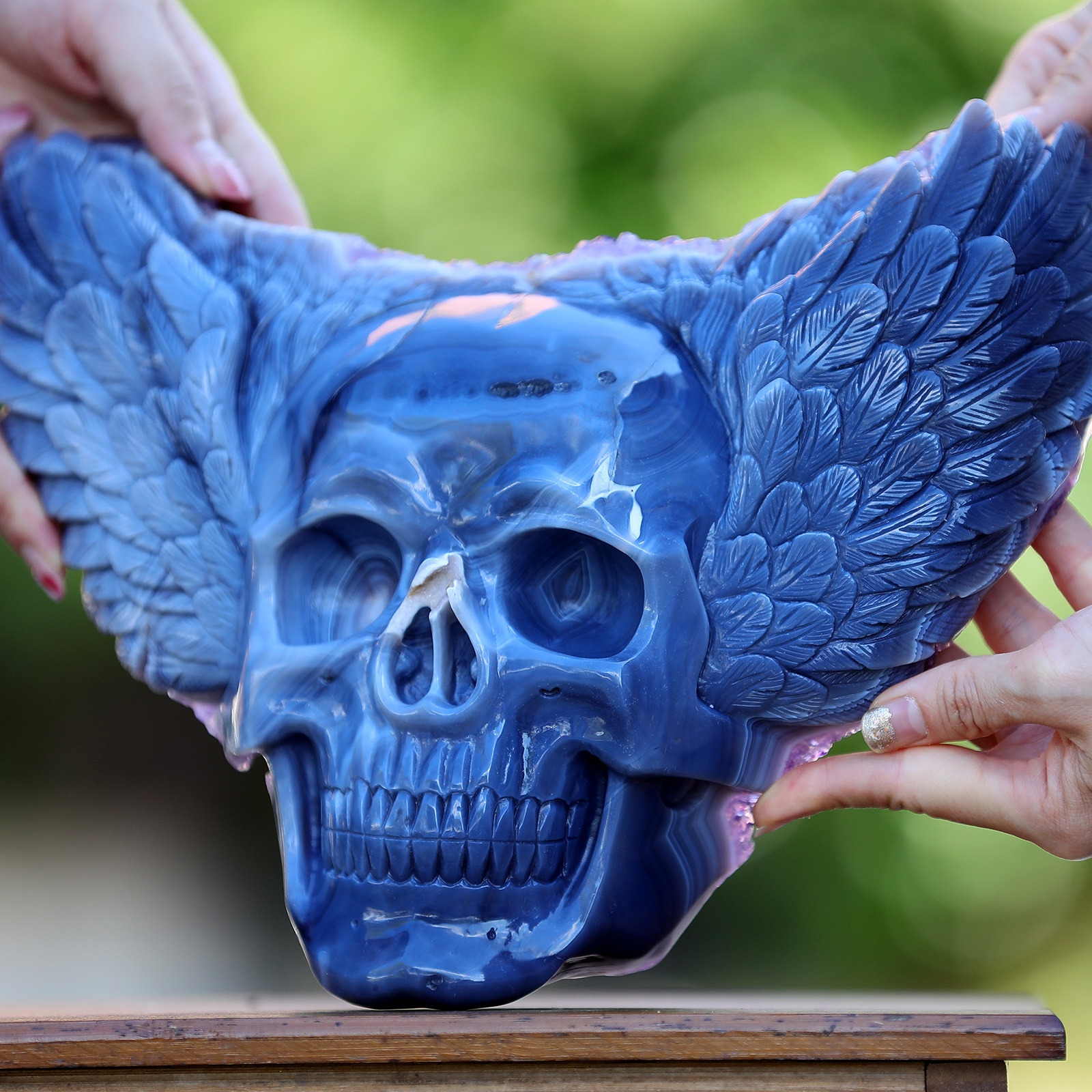 Amethyst cluster Angel Wing skull (8)