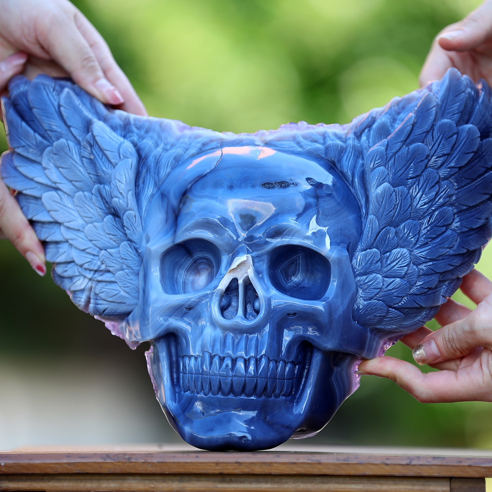 Amethyst cluster Angel Wing skull (9)
