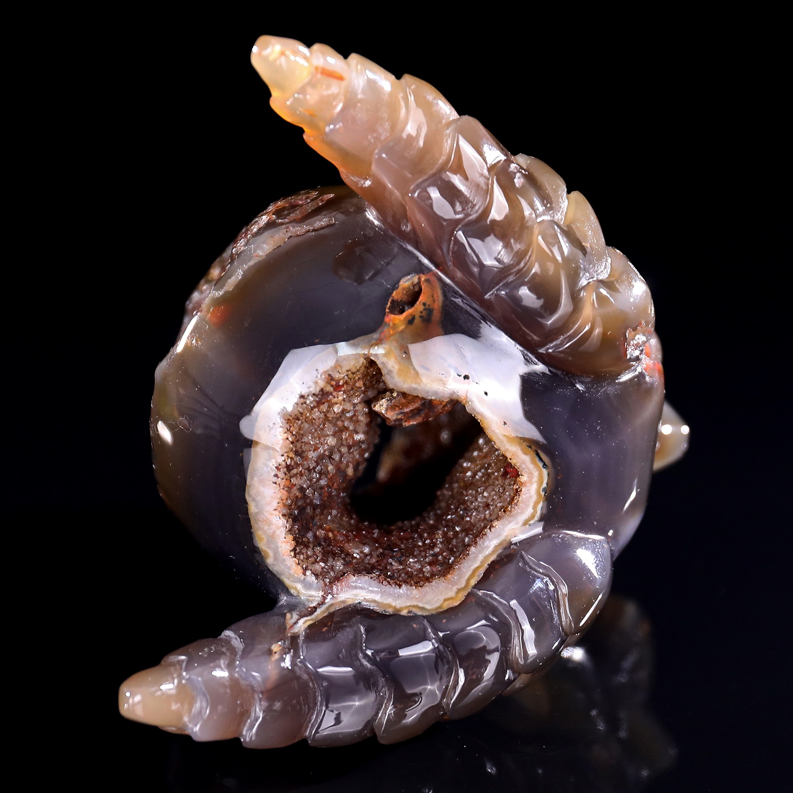 Geode Agate Skull (10)