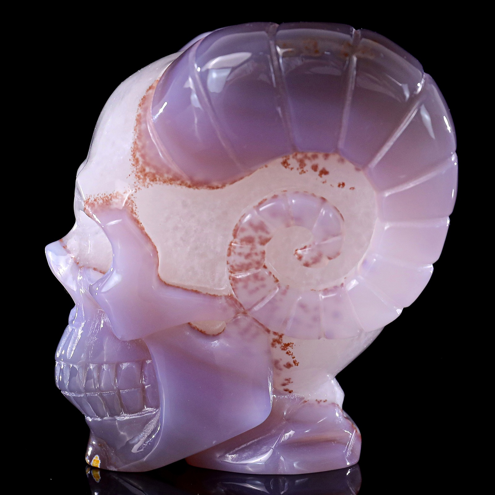 Geode Agate Skull (3)