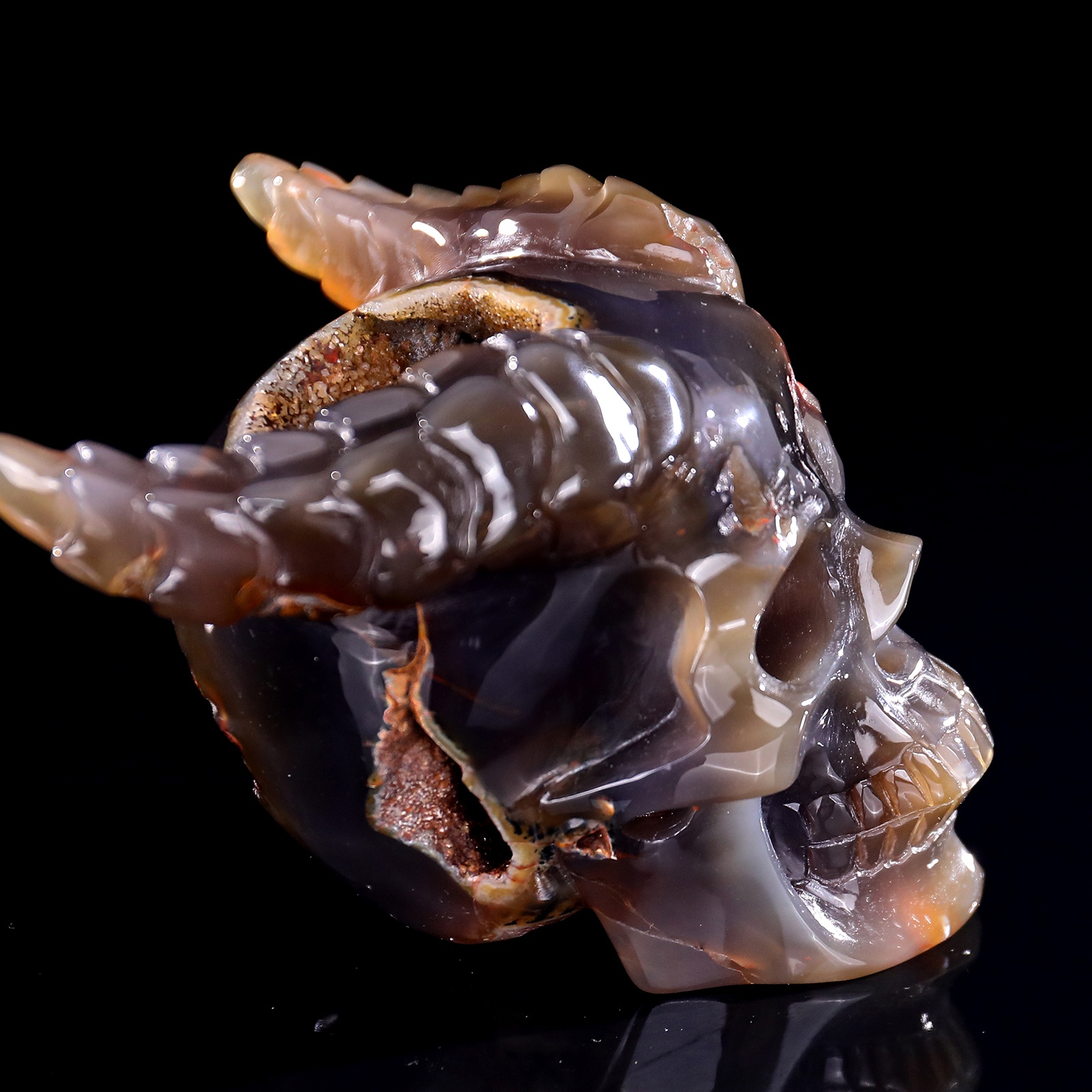 Geode Agate Skull (3)