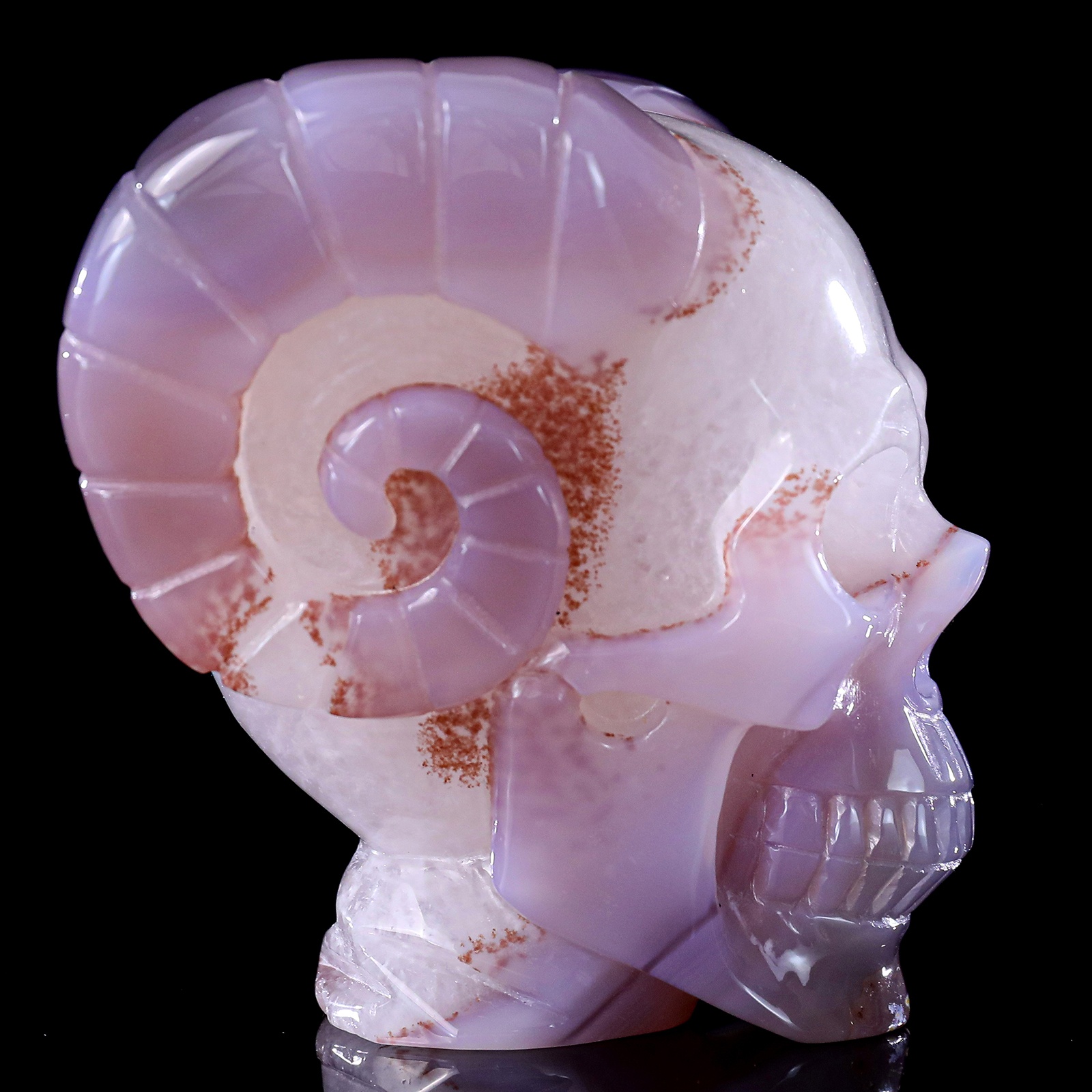 Geode Agate Skull (5)