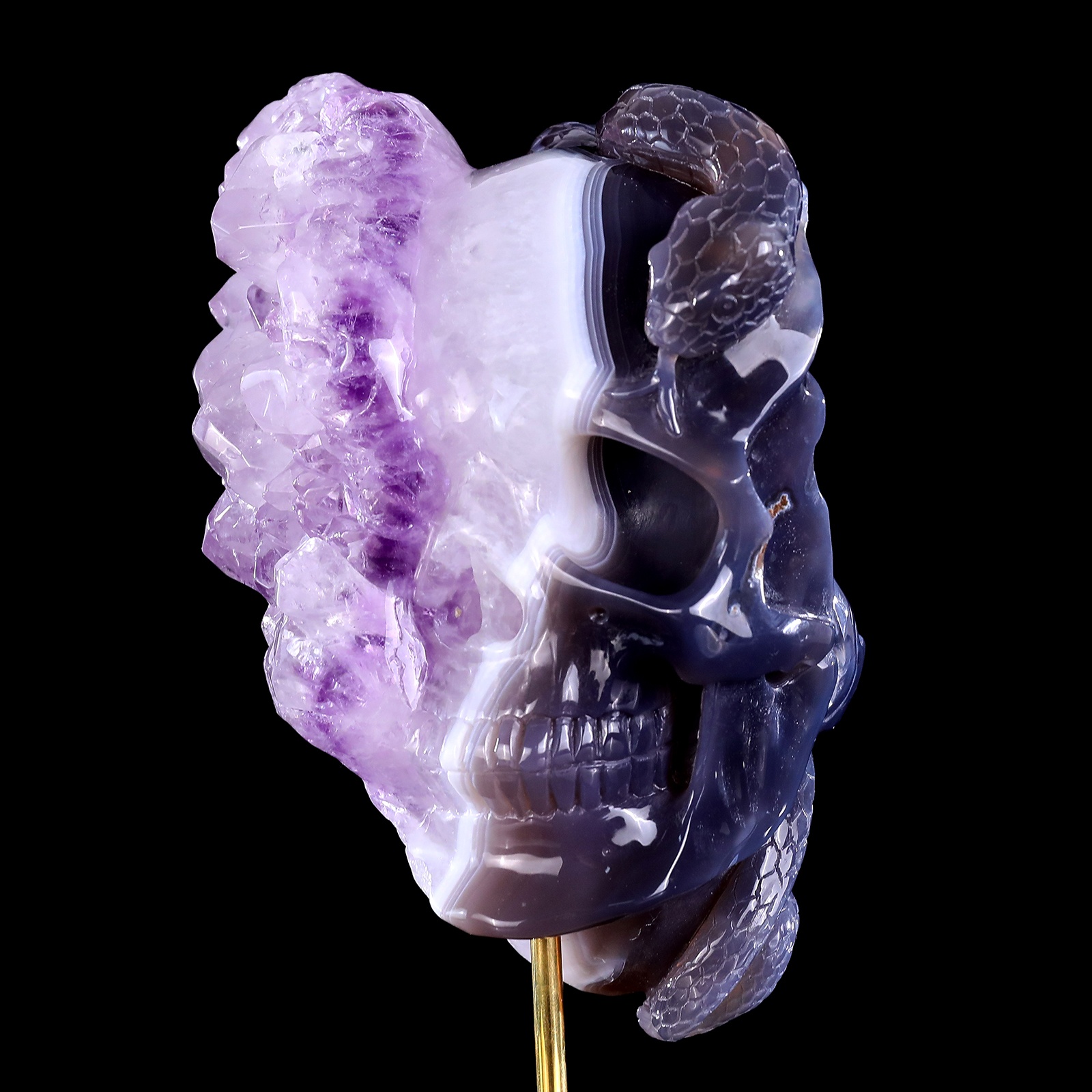 Original skull of amethyst cluster (3)