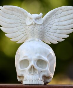 8.9" White Jade Hand Carved Crystal Skull And Owl Sculpture - Crystal Animal Carving